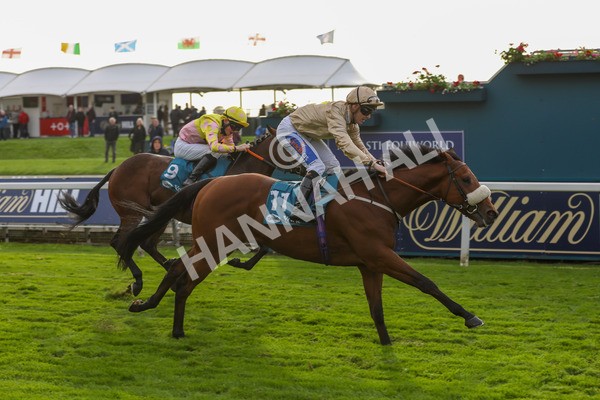 131023-Race 5-Irish Nectar-9875 - Race 5 4.25pm Parsonage Hotel And Cloisters Spa Nursery Handicap