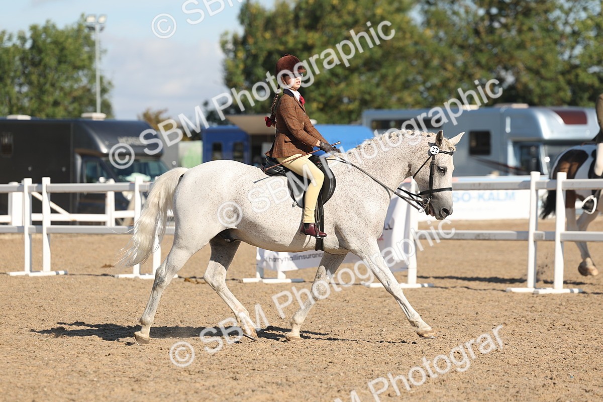 SBM_12294 - Class 304 - Ridden part Bred Horse Pony