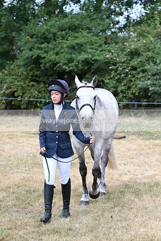 WJ7_1859 - Class 4a Prettiest Mare 14.2hh and over hand