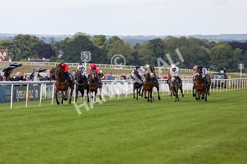 180624-Race 3-Sunny Orange-7851 - Race 3