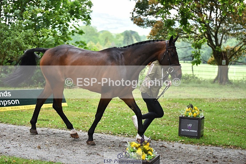 240522-170034-01322 - 271-WILD_ATLANTIC_WAY-Susie_Berry