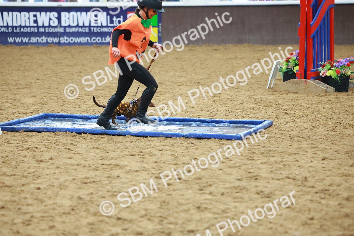 SBM_002213 - Class 3 - Horse & Hound (60cm)