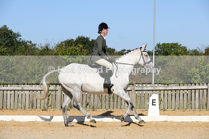 1X9A7748 - Class 9: Open Ridden Hunter
