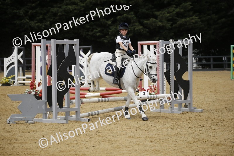 20250622-4718 - 50cm