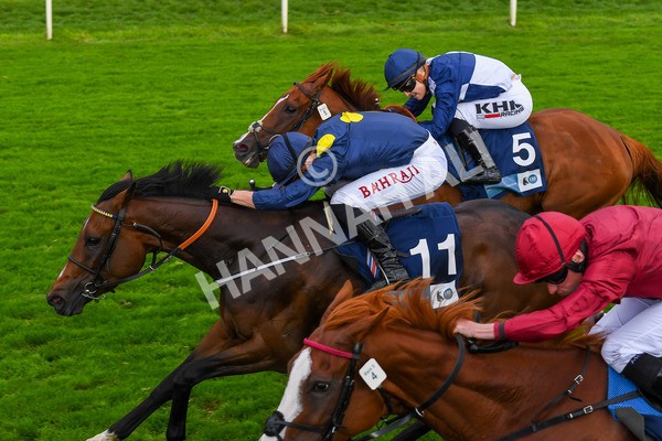 240823-Race 5-Sea Theme-0697 - Race 5 4.10pm British EBF & Sir Henry Cecil Galtres Stakes