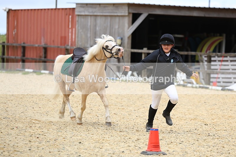 3E7A9422 - Walk trot run