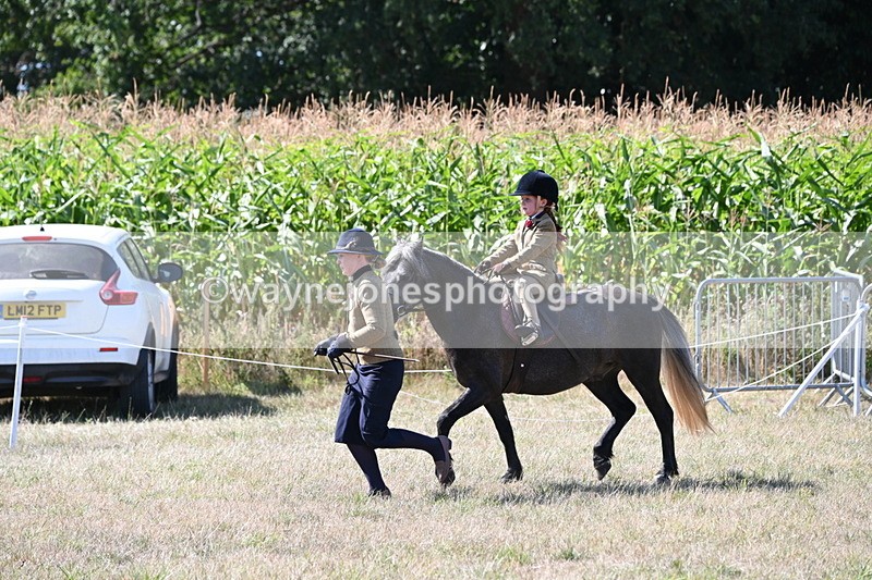 WJ6_7971 - Class 36 Lead Rein