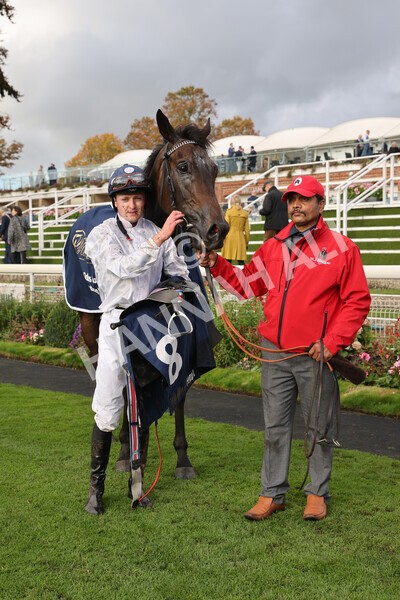 yr07102022r4-63 - Race 4 3.50pm William Hill Best Odds Guaranteed Stakes