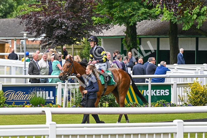 070624-Race 3-Golden Rainbow-9732 - Race 3