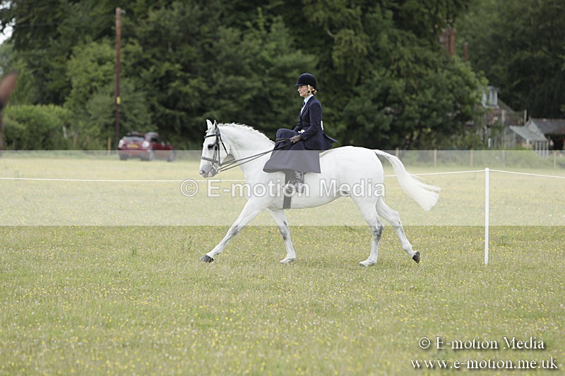 BVR160717-2371 - Side Saddle Classes 16/07/17