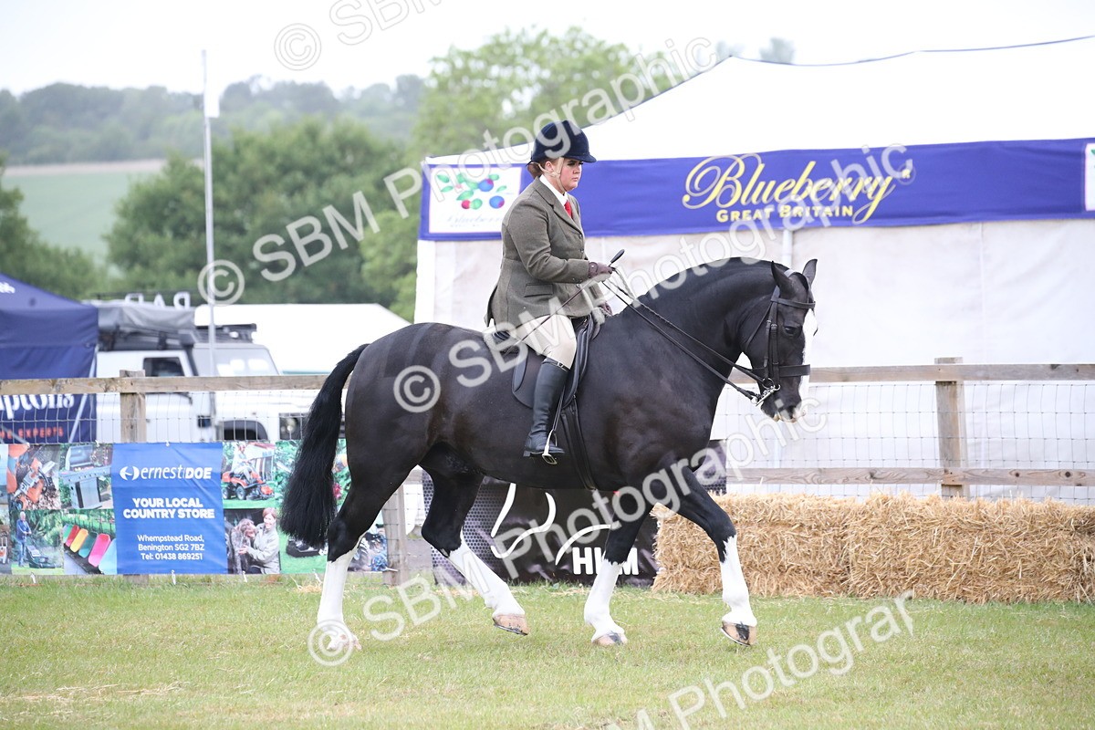 SBM_11042 - Class 92-93 - LIHS BSHA Rising Star Cobs