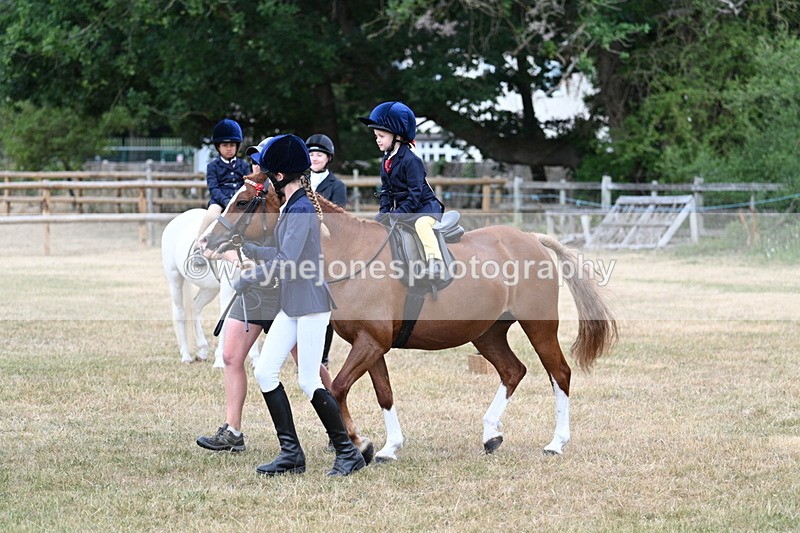 WJ7_9878 - Class 1 Lead Rein Pony
