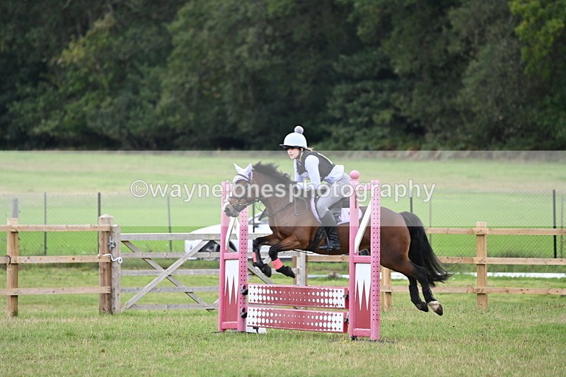 WJ6_1730 - 60cm Time 12:11 to 12:28