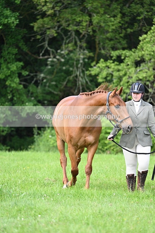 WJ7_0985 - Class 11 Condition & Turnout