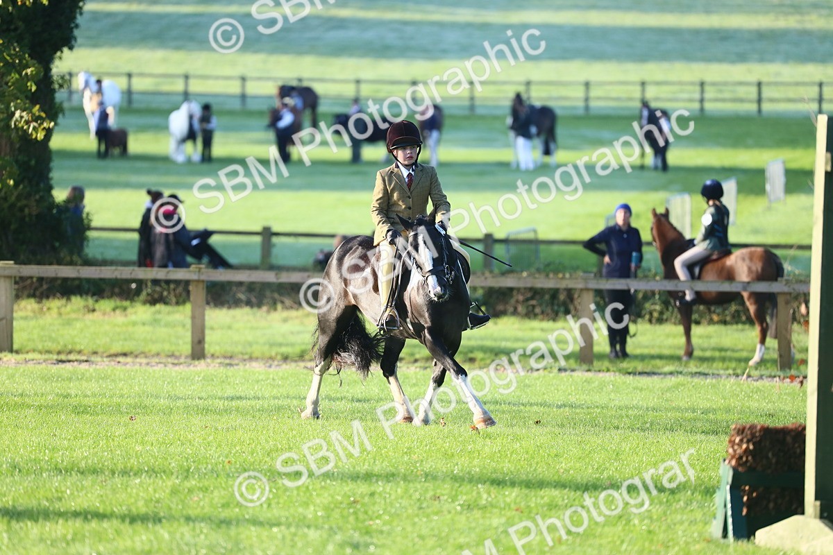 SBM_37192 - S29 - Novice & Newcomers Working Hunter Pony