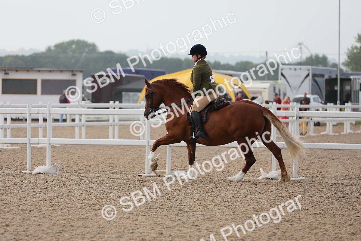 SBM_10068 - Class 302 Ridden M&M -Large Breeds