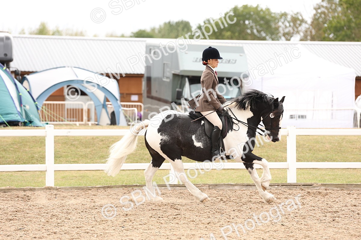 SBM_19665 - Class 216 - Ridden Traditional - Native Cob