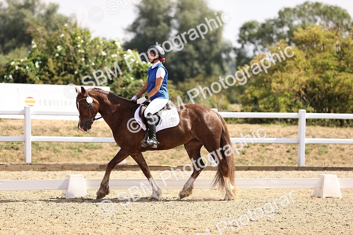 SBM_006537 - Intro 3 - 9.46-10.46