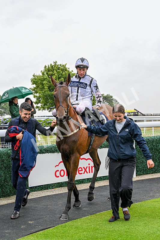 150725-Race 1-Dunkeld Dreamer-0109 - Race 1