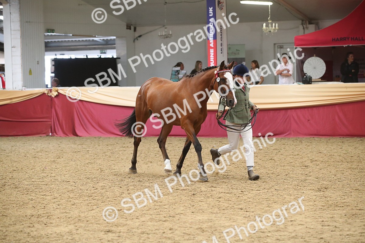 SBM_05692 - Class 9R - Regional IH Pre-Vet