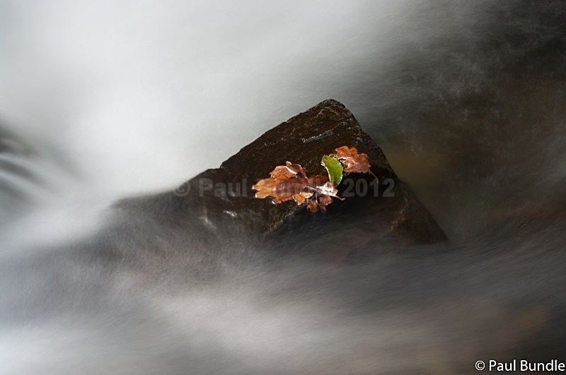 IMGP8273 - Streams, Rocks