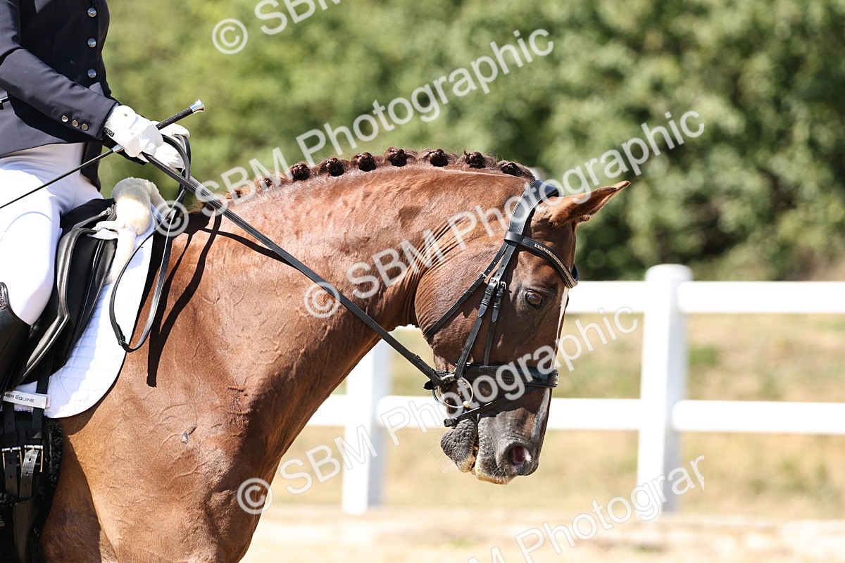 SBM_003207 - Prelim 4 - 13.41-16.04