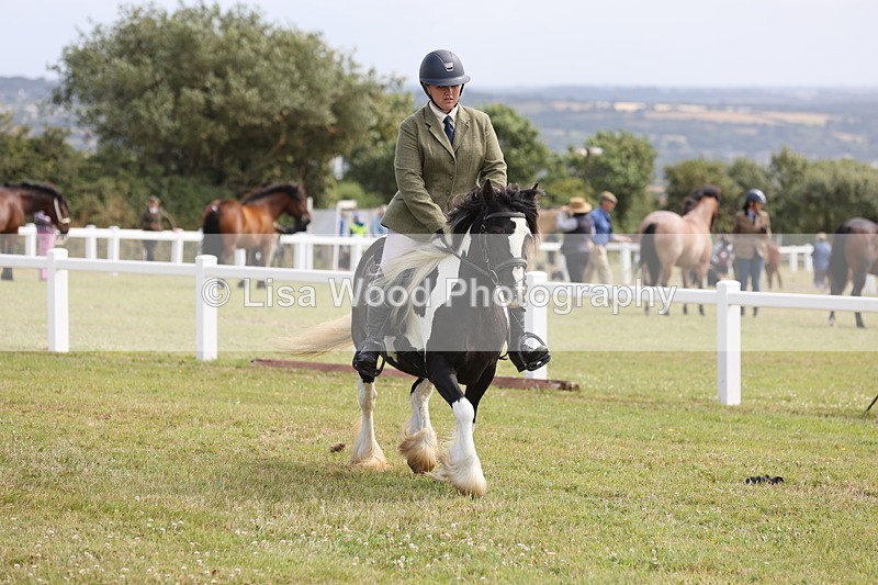 JPP_1531 - Class 17: Cornish Combination Open