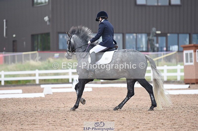 230708A-103750-01415 - Prelim 7