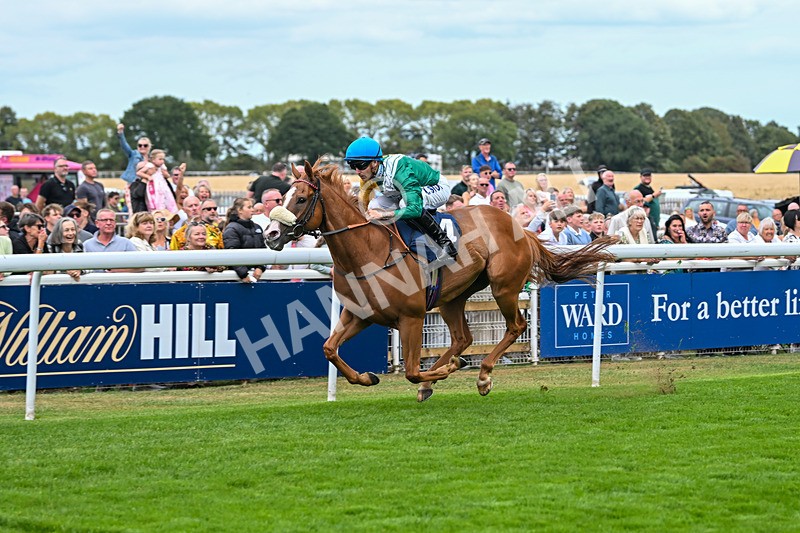 300825-Race 2-Shagraan-0691 - Race 2