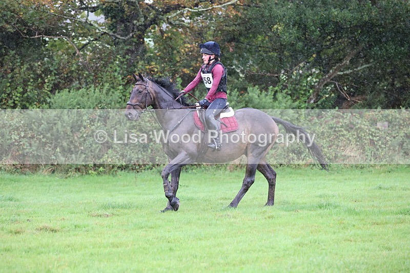 JPP_5435 - Class 4: 80cm: Crossed Logs