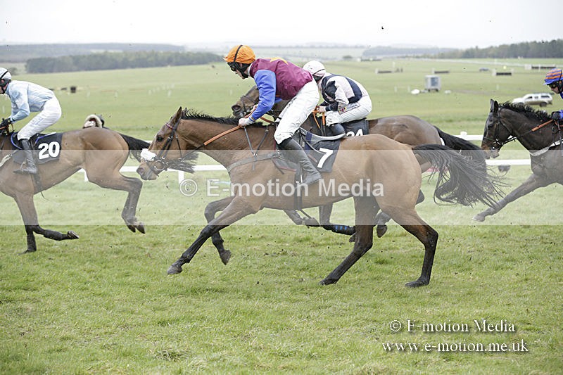 PtP 150320 0214 - New Forest Point-to-Point Larkhill 15/03/20