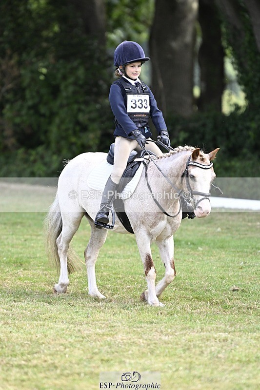 250821A-102748-14356 - DR 10.00 to 11.00