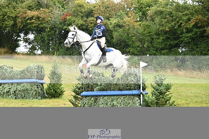 TS_b0663552 - SAT BE 90 Recovered Files fence 8