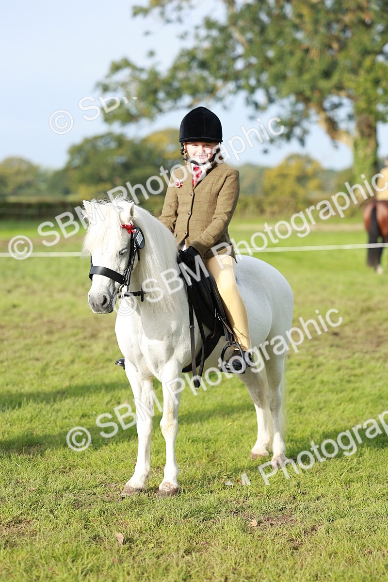 SBM_56400 - S39 - Starters In Hand Showing