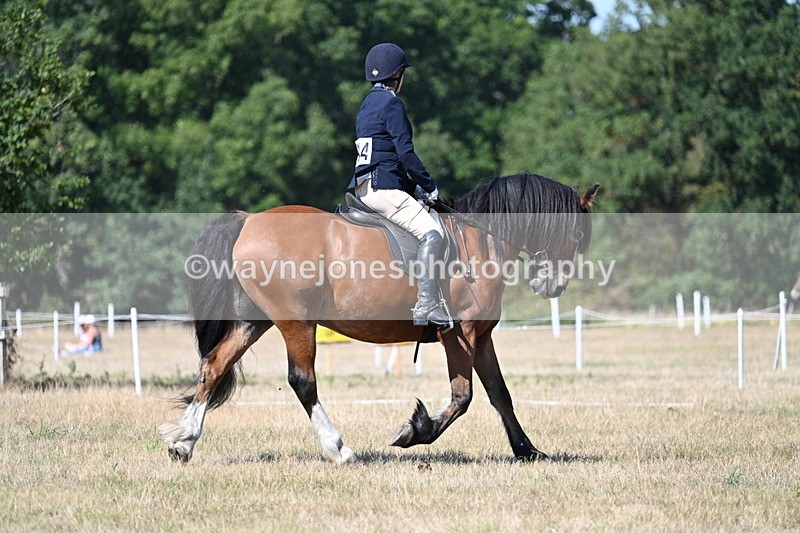 WJ7_0736 - Time 12:03 to 12:23