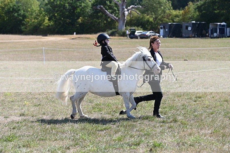 WJ6_7849 - Class 36 Lead Rein