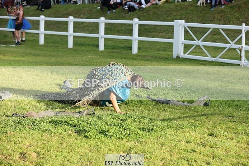 240711-194620-30333 - Cls 210 Jolly Jumps Run and Run