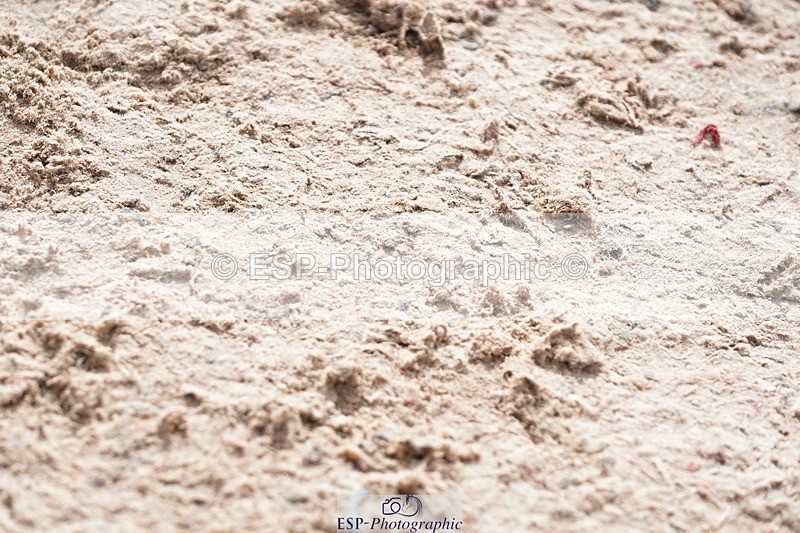 250425-100148-08428 - Cls 30 Young Horse 6yr old