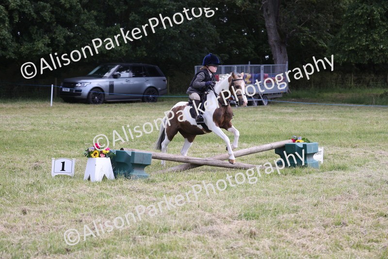 20260614-0675 - Class 20 - Beginners Working Hunter Pony