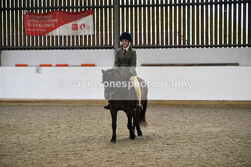 WJ5_6905 - Class 10 Childs Pony