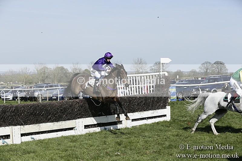 PtP 260317 270 - Mendip Farmers Point-to-Point Ston Easton 26/03/17