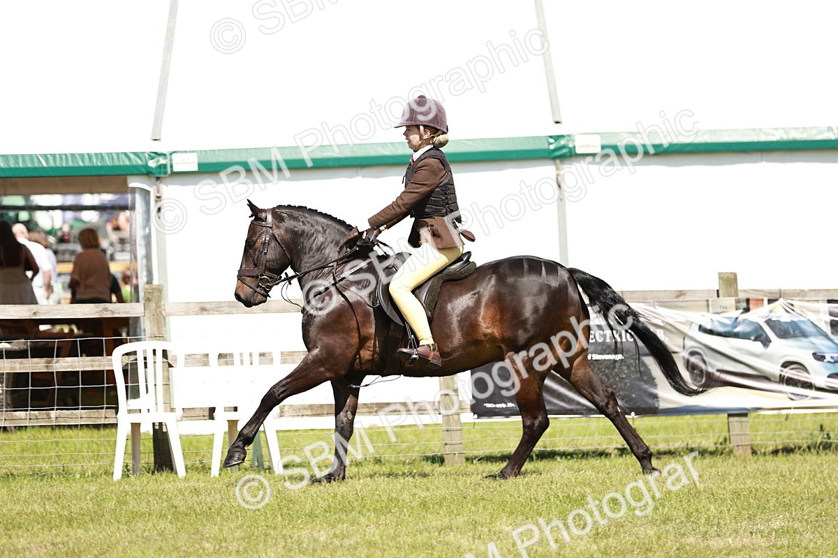 SBM_17652 - Class 112-113 - BSPS LIHS Working Sports Pony