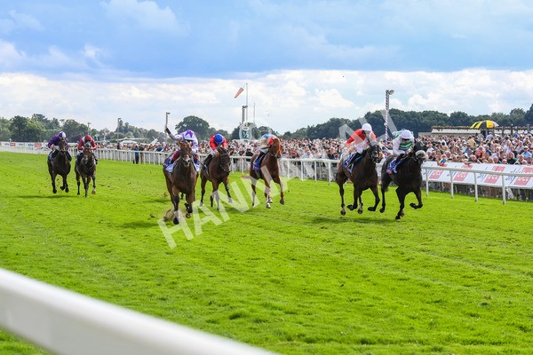 260823-Race 3-Kinross-0473 - Race 3 Sky Bet City Of York Stakes