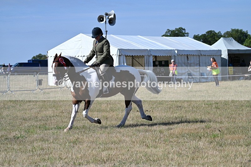 WJ7_3291 - Class 8 Ridden Tack & Turnout