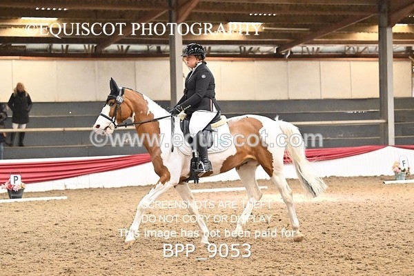 BPP_9053 - ELEM 4