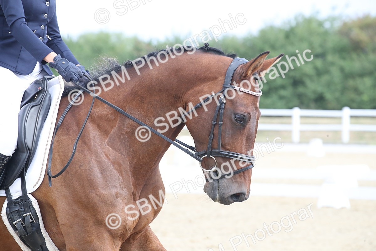 SBM_005921 - Novice 5 - 8.30.10.39