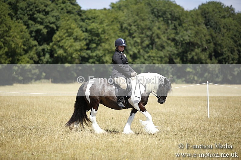 _C7A9819 - BVRC Show 2018 Ring 1