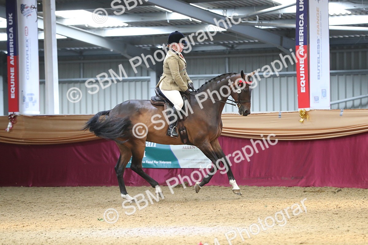 SBM_12376 - Class 108 Ridden Retired Racehorse- Pre Judging