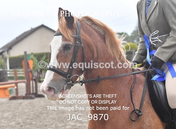 JAC_9870 - CLASS 2 Novice Working Hunter (0.60m - 0.70m)