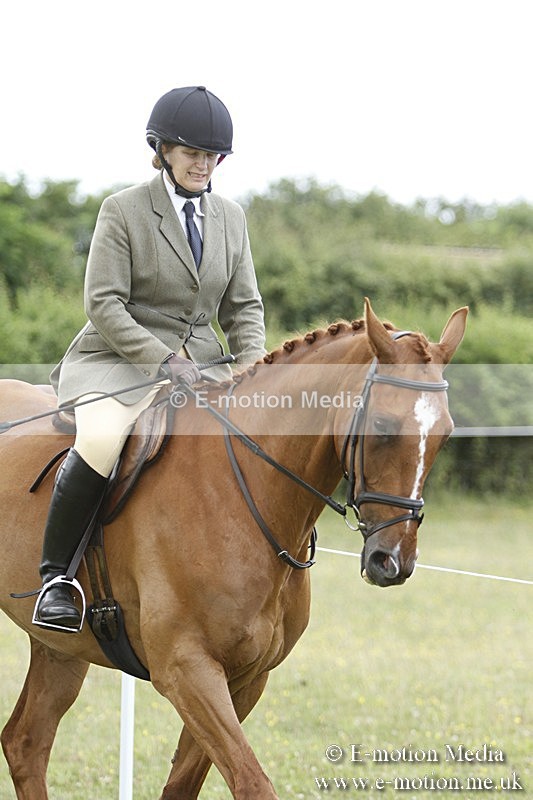 BVR160717-1771 - Ring 3 BVRC Show 16/07/17